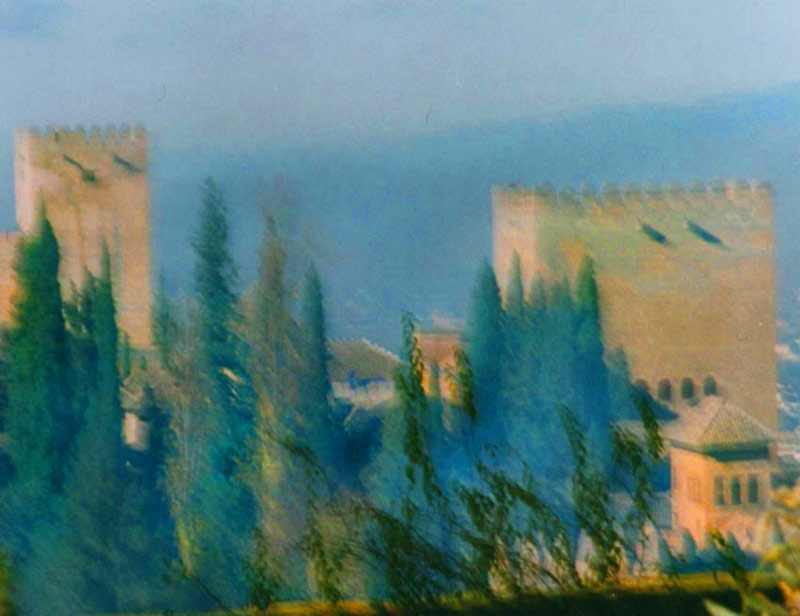 Alhambra profile with cypresses