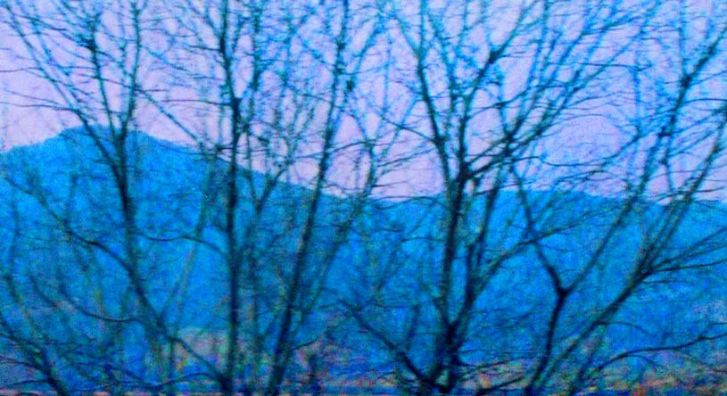 Blue hills, and trees