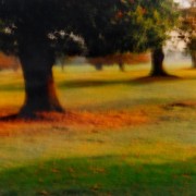 Parkland in Autumn