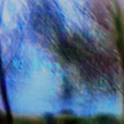home page thumbnail Norfolk trees, VHS-cam