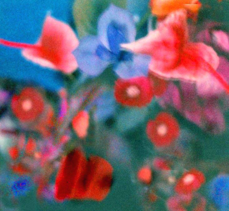 Blue iris, red daisies, grainy