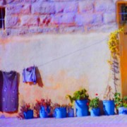 Street garden, blue pots