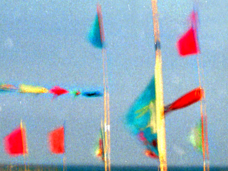 Flags 5