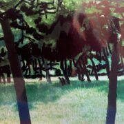 Talking with trees 006