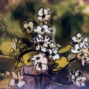Power flower 005