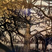 Talking with trees 008