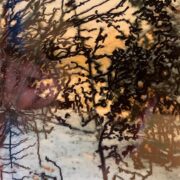 Talking with trees 009