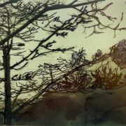 Talking with trees 012