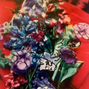 Power flower 012