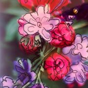 Power flower 014