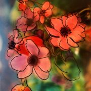 Power flower 015
